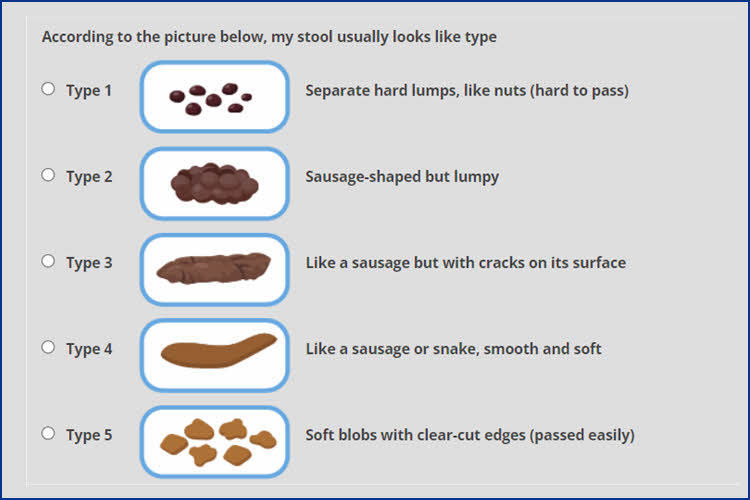 A Bowel Questionnaire