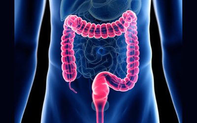 Changes in Bowel Function Following a Spinal Cord Injury