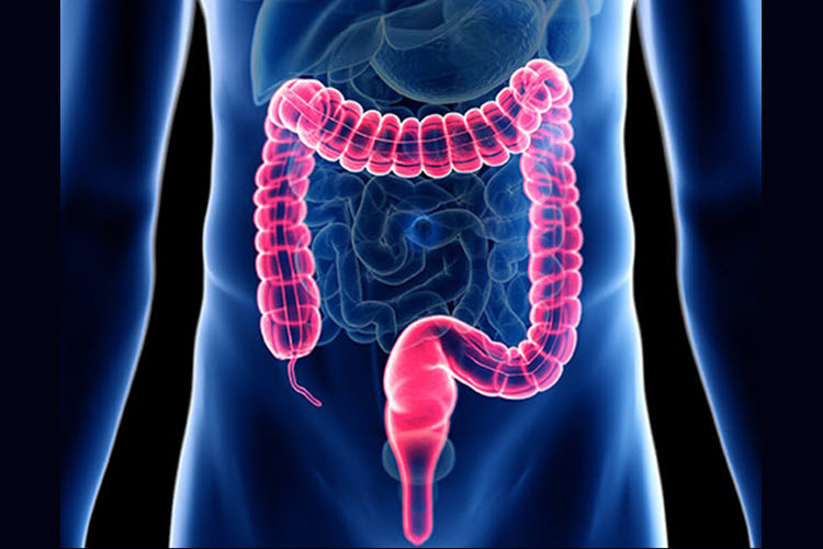 Changes in Bowel Function Following a Spinal Cord Injury